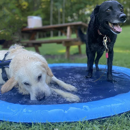 Aqua Paws™ Splash Pad