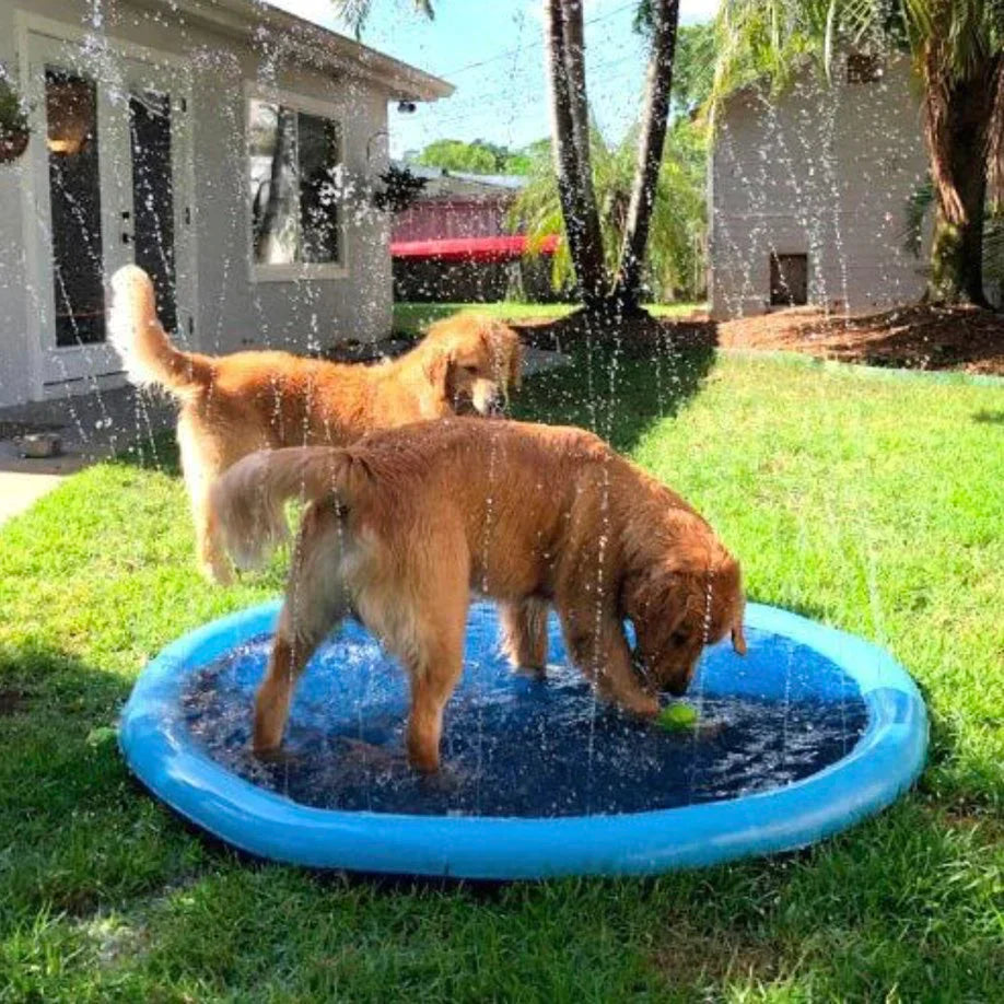 Aqua Paws™ Splash Pad